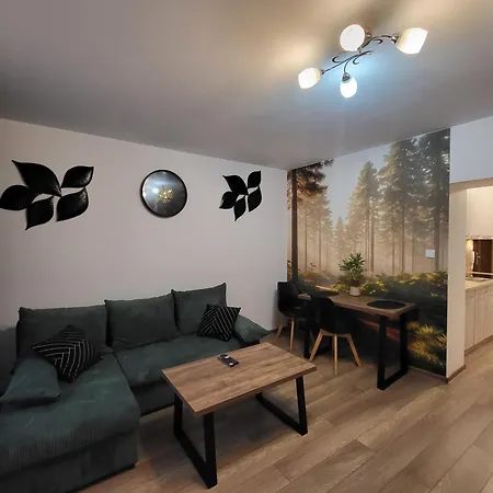 Nowomiejski Apartmán Nowe Miasto Lubawskie