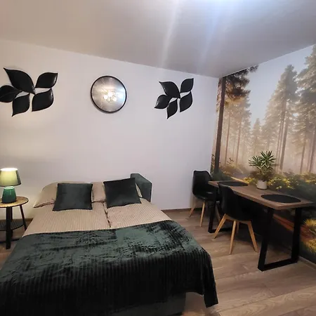 Nowomiejski Apartmán Nowe Miasto Lubawskie