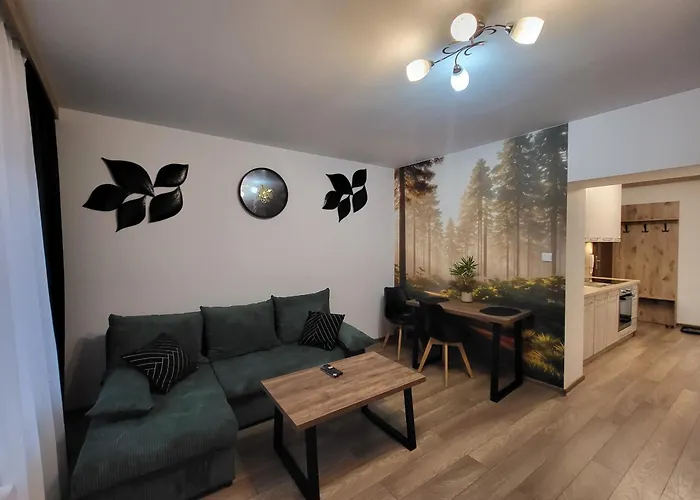 Nowomiejski Apartmán Nowe Miasto Lubawskie