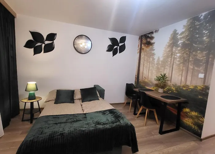Nowomiejski Apartmán Nowe Miasto Lubawskie